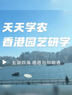 与香港园艺学会联合举办香港园艺研学，专业园境师带队讲解。