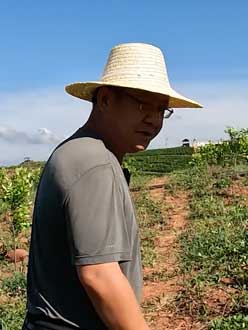 农业人叶涛，50多岁通讯人跨界搞农业，他要用1000万打造一个梦。